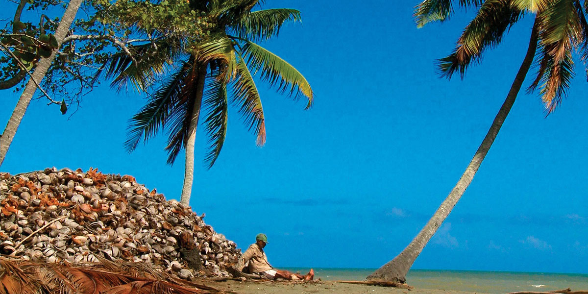 Baracoa_Latin American Cinema