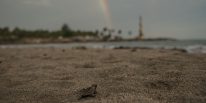 Cacu: A Change for Life