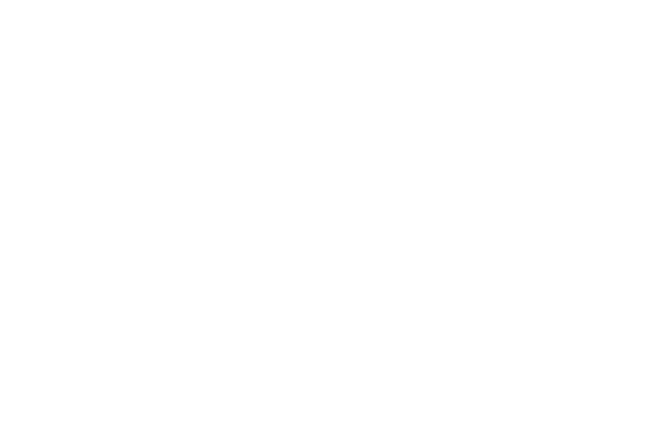The Film Society of Lincoln Center