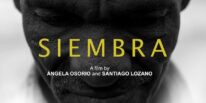 Siembra