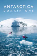 Antarctica – Domain One
