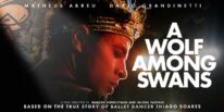 A Wolf Among Swans